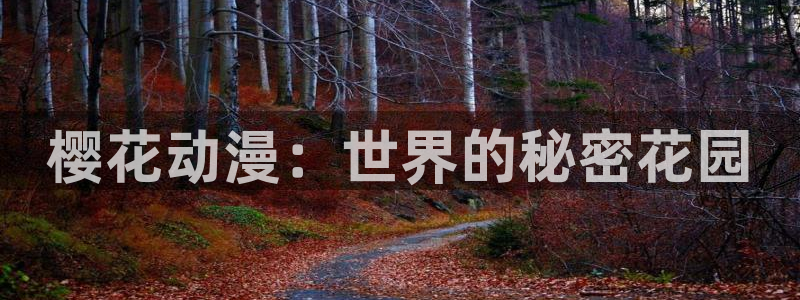 囧次元在线观看入口网址